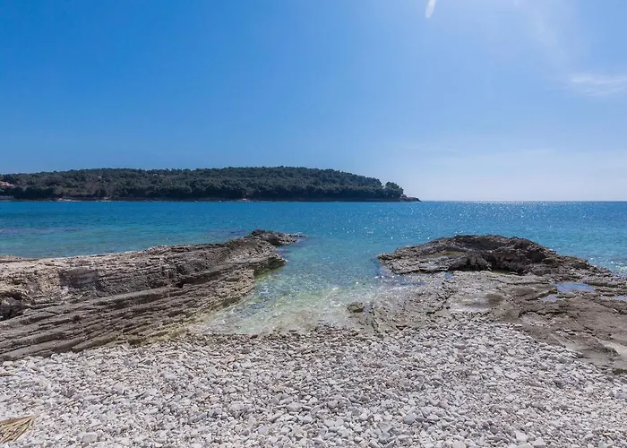 Joy By Interhome Lejlighed