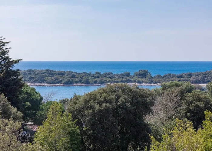 Apartament Joy By Interhome *